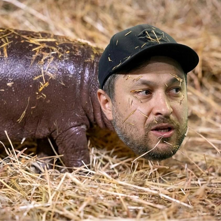 Anatoly Hippo 2